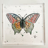 Mini Butterfly Watercolor - Multi 2