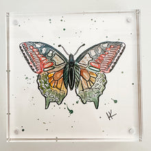  Mini Butterfly Watercolor - Multi 2