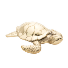  Brass Turtle