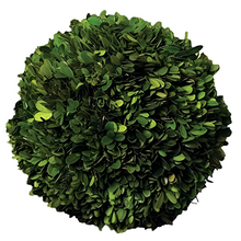  English Boxwood Ball 4"