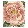 John Derian PPicture Book Part!!