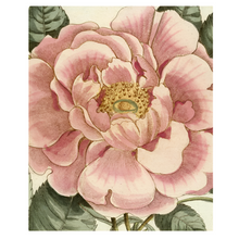  John Derian PPicture Book Part!!