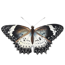  Swedish Butterfly Framed Print