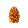 Boxed Cone Candle