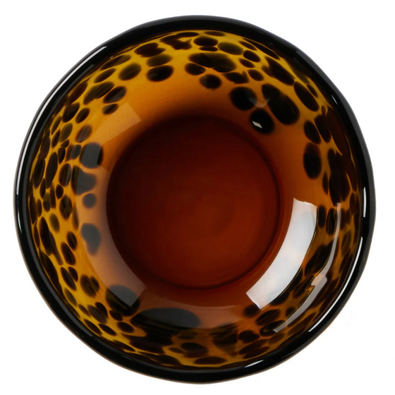 Mini Tortoise Bowl Set