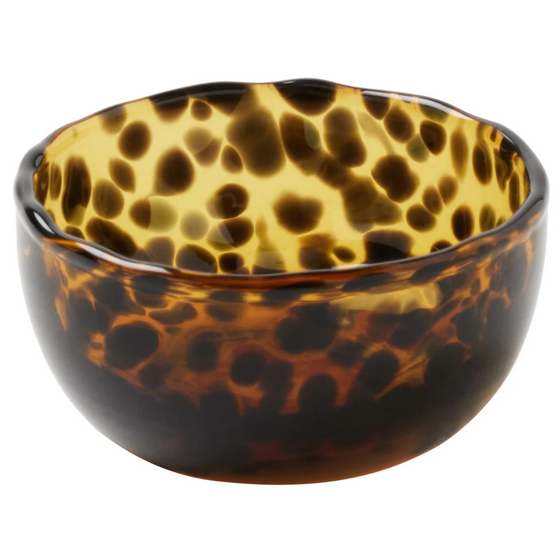 Mini Tortoise Bowl Set